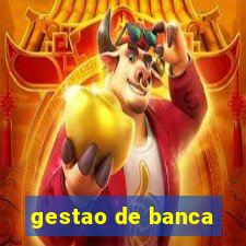 gestao de banca