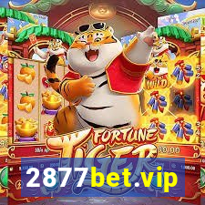 2877bet.vip