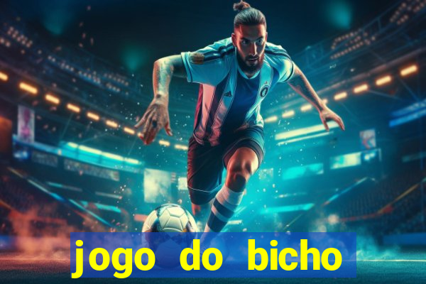 jogo do bicho crash bingo