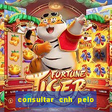 consultar cnh pelo cpf sp