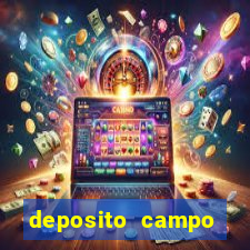 deposito campo grande santos