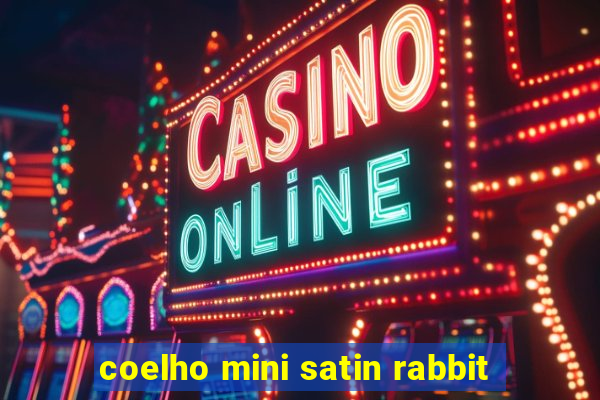 coelho mini satin rabbit