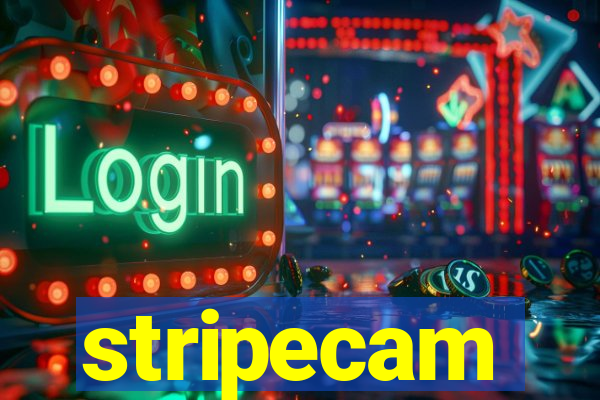 stripecam